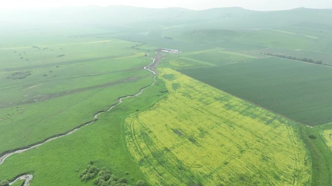 雾霭蒙蒙山野风景