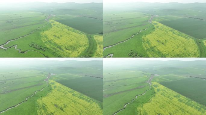 雾霭蒙蒙山野风景