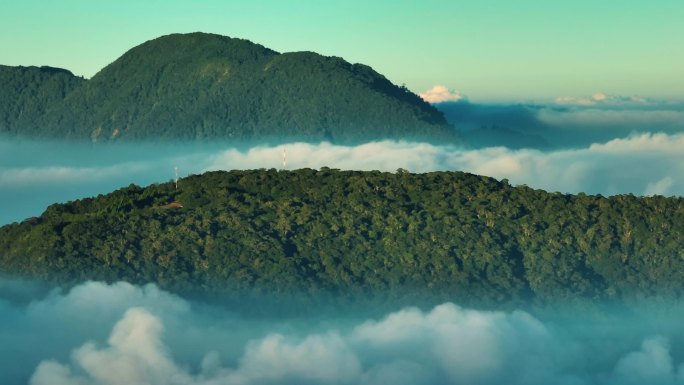 云雾覆盖的绿树、自然、天空、背景、森林、景观、旅游、树木、景观、晨光的山顶鸟瞰, 