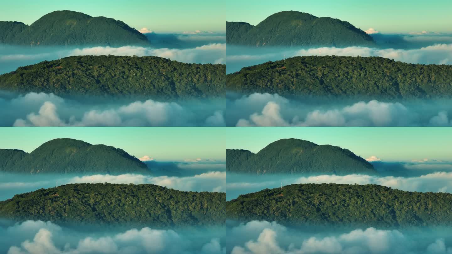 云雾覆盖的绿树、自然、天空、背景、森林、景观、旅游、树木、景观、晨光的山顶鸟瞰, 