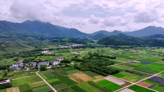 航拍夏季美丽的稻田田园