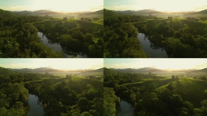 飞行员:在美丽的雾蒙蒙的早晨飞越茂密的绿色热带风景.静谧的河水在金色的夕阳下流过青山.日出时低空飞越