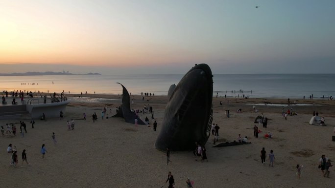 烟台金沙滩落鲸