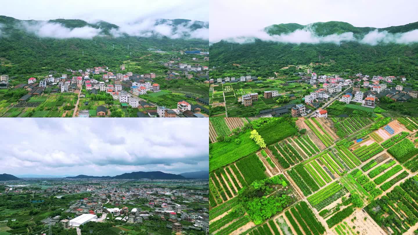 雨后小村庄 新农村 云海 美丽乡村