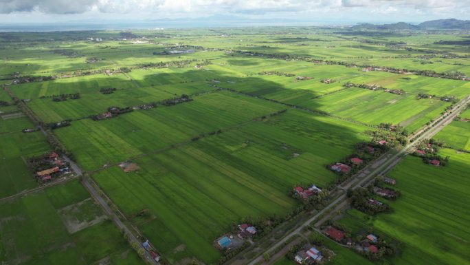 马来西亚吉打和玻璃市的稻田