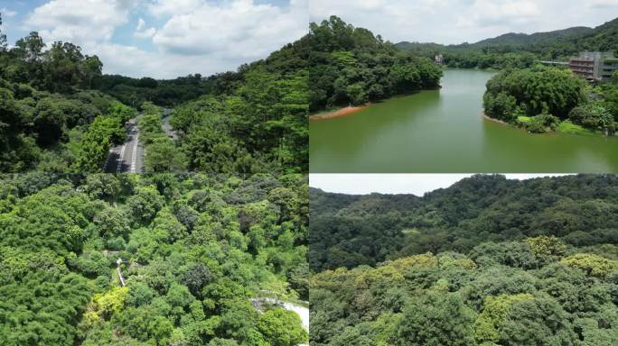 广州天麓湖公园航拍镜头