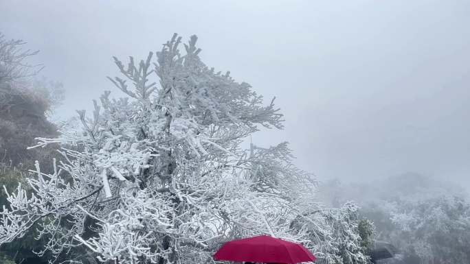 寒冷冬天冰雪雾凇旅拍小合集