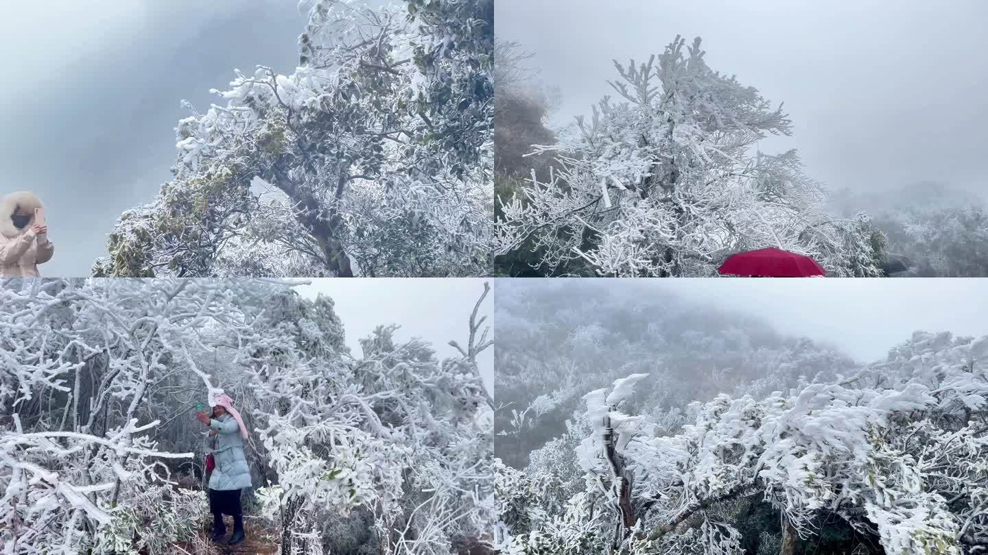 寒冷冬天冰雪雾凇旅拍小合集