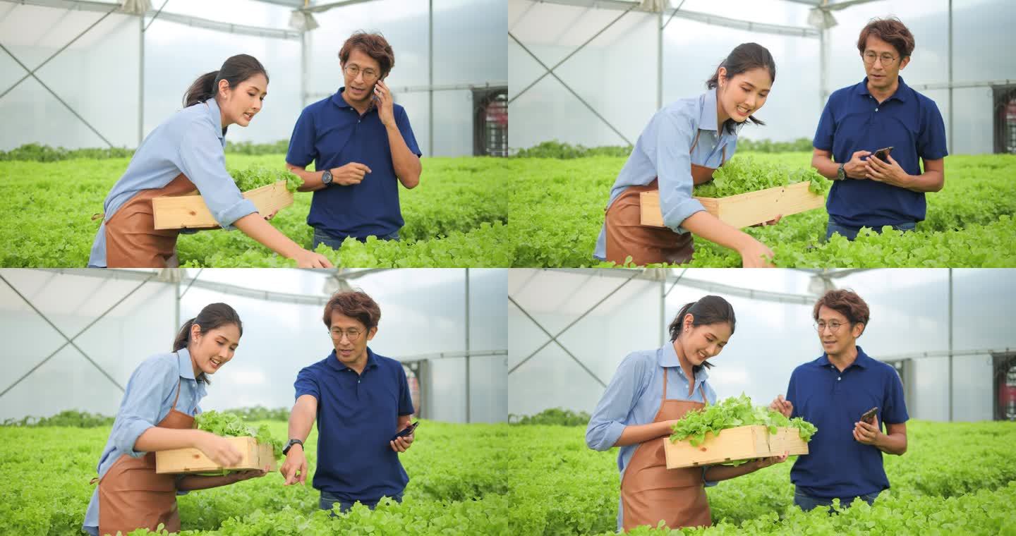 亚洲农民妇女将女农民的优质有机蔬菜送到经销商手中出口到市场。农场新鲜有机蔬菜.