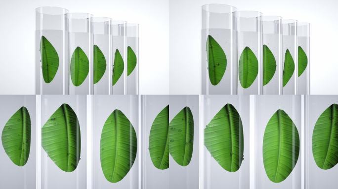 试管内的绿色植物叶子三维动画广告素材