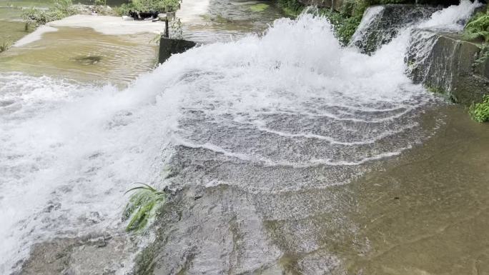 泉水清清