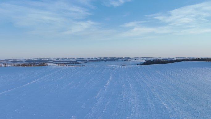 航拍严冬中的辽阔暮色雪原农田