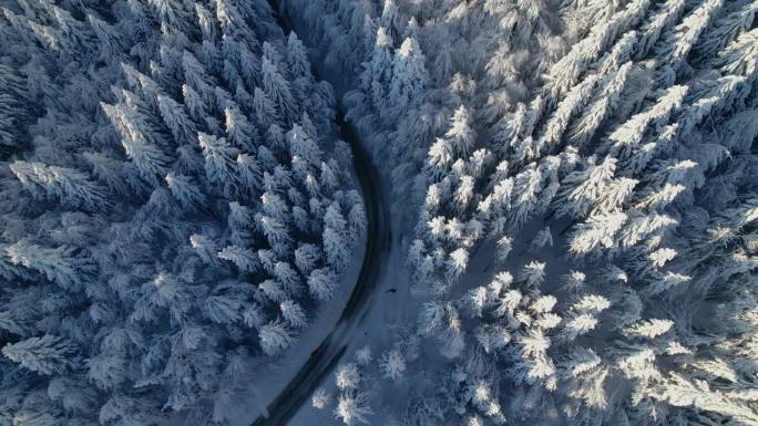 白雪公主：一条蜿蜒曲折的柏油路，蜿蜒穿过被白雪覆盖的神奇冬季森林。飞过弯弯曲曲的道路，穿过美丽的白色