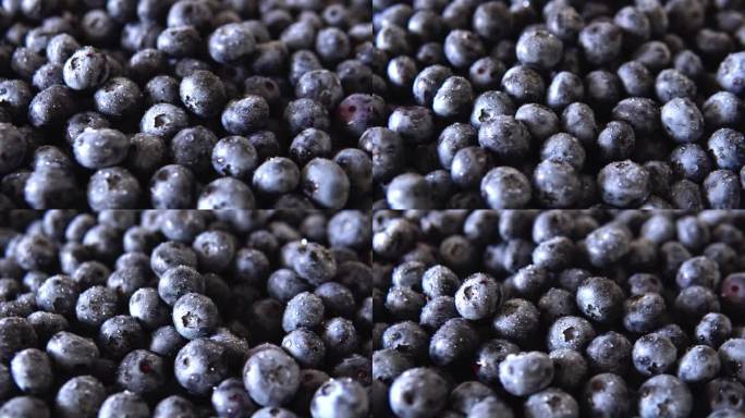 新鲜采摘多汁的蓝莓背景，平躺着。蓝莓质地。健康营养、有机食品的概念。素食主义者和素食主义者