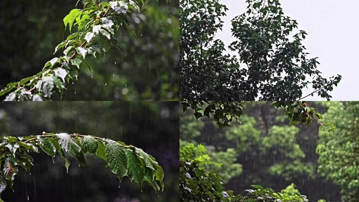 暴雨