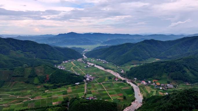 乡村河道河流绿色稻田风光