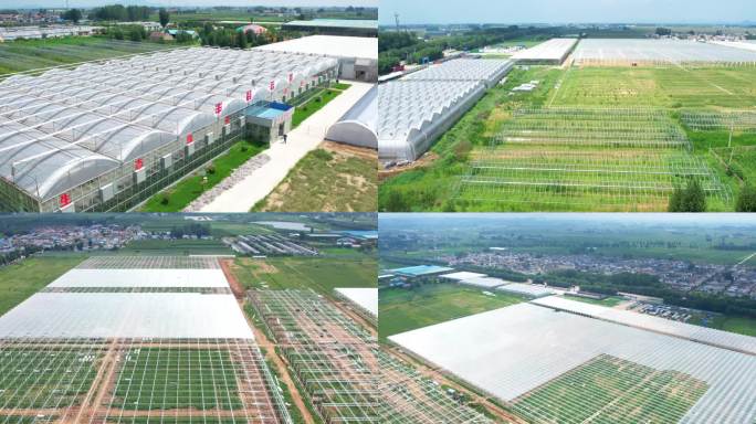 生态草莓工厂 信华新格林 航拍大棚 农业
