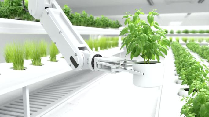 3D运动图形，智能机器人手，盆栽植物，