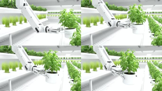 3D运动图形，智能机器人手，盆栽植物，
