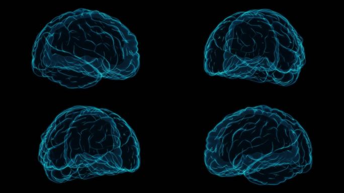 大脑小脑 5G脑部神经AI人工智能科幻