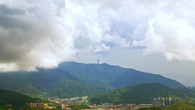 梧桐山