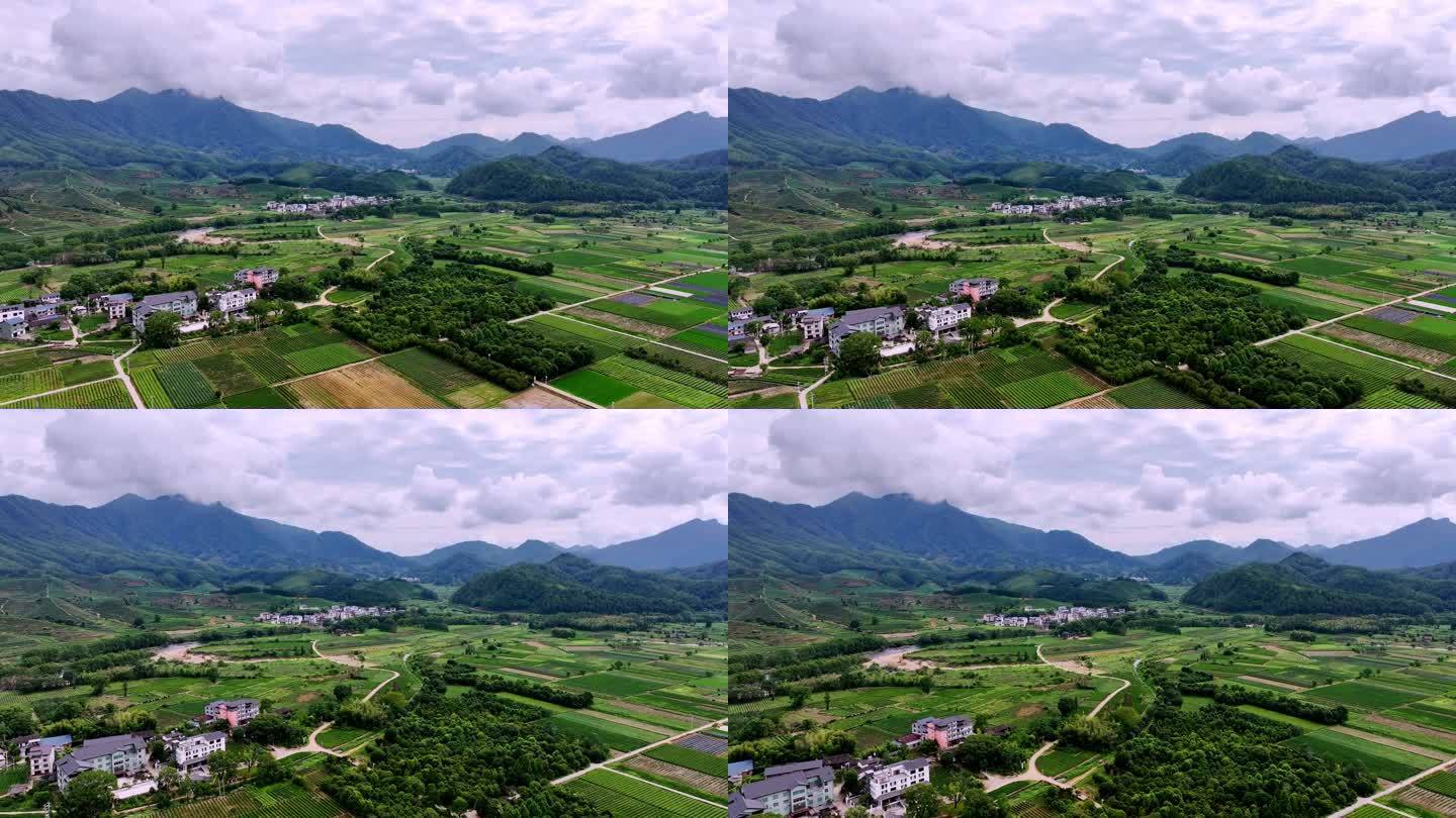 稻田田园风景和谐社会