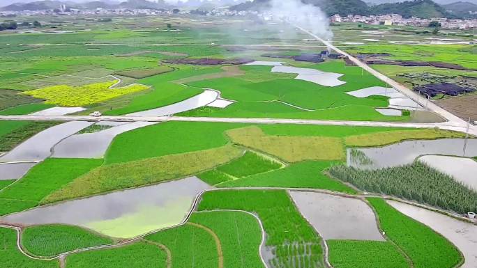 广西山区万亩水稻田园