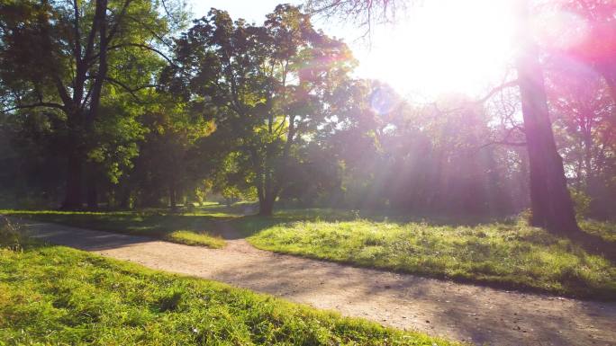 夏日阳光明媚的早晨，公园里，绿油油的草地，泥泞的小径，阳光灿烂的阳光穿过树干和树枝。阳光的光芒美丽的