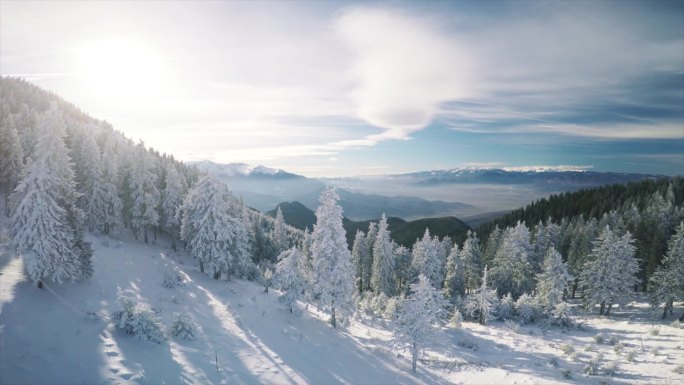 空中俯瞰着地平线上高山顶上积雪的森林