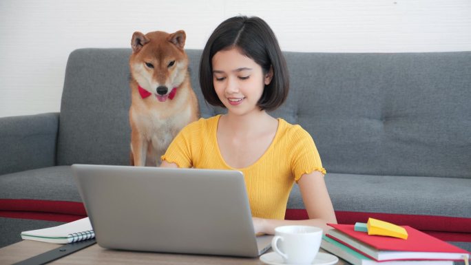 微笑的亚洲妇女在家工作，坐在笔记本电脑上，在家中的客厅里看着宠物Shiba狗的屏幕打字信息。疏远在家