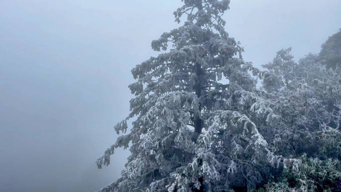 景区冰天雪地冬天冰雪雾凇