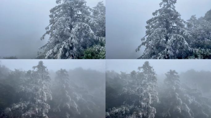 景区冰天雪地冬天冰雪雾凇