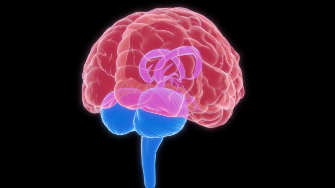 大脑小脑 5G脑部神经AI人工智能科幻