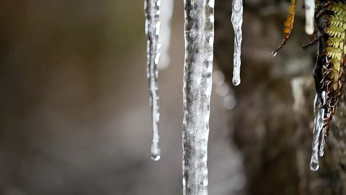 大明山山顶冬天冰雪雾凇世界