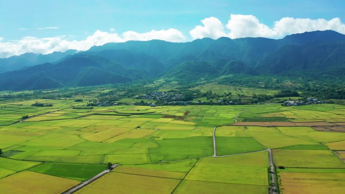 供耕作和耕作的稻田的空中景观