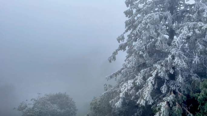 大明山景区冬天冰雪雾凇合集