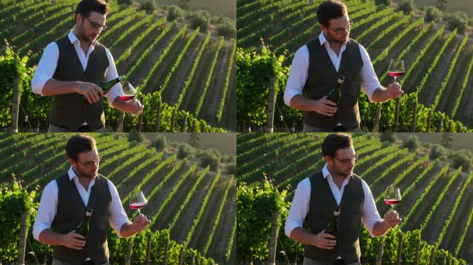 日落时，年轻人在葡萄园里品尝红酒。成功的男性酿酒师正在品尝一种风味，并检查日落时在葡萄园背景上倒入透