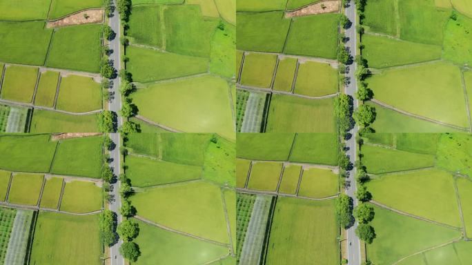 稻田耕作的空中农业观