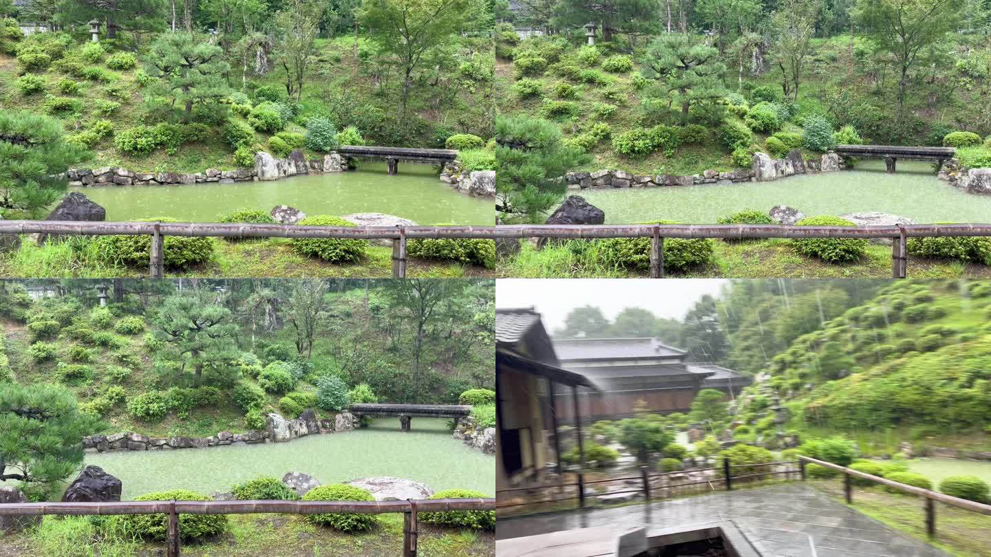 日本京都空海的智积院：雨中的庐山庭园"