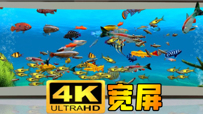 裸眼3D海底鱼群4K