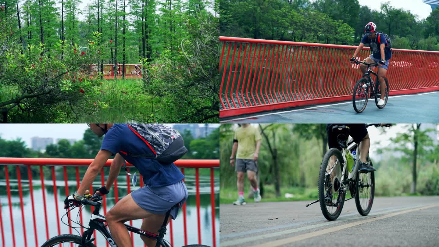 骑行骑车自行车单车绿道公园城市运动锻炼