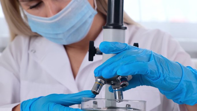 女科学家实验室助理在显微镜下观察一个带有转基因化学品样品的培养皿。微生物学家在拥有技术设备的现代实验