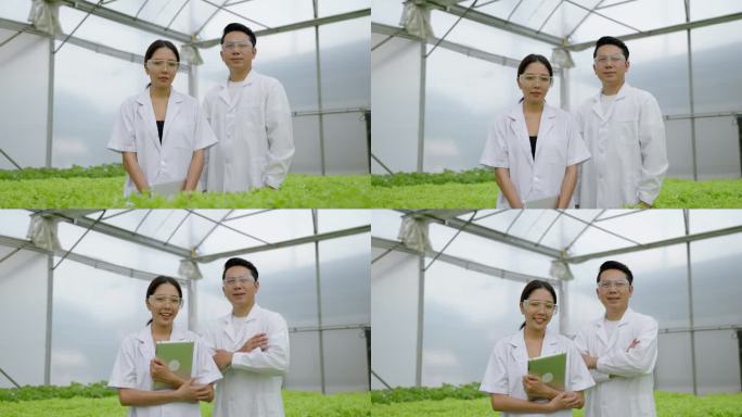 亚洲女科学家和亚洲男科学家共同研究温室实验中水栽植物的有机蔬菜实验结果.