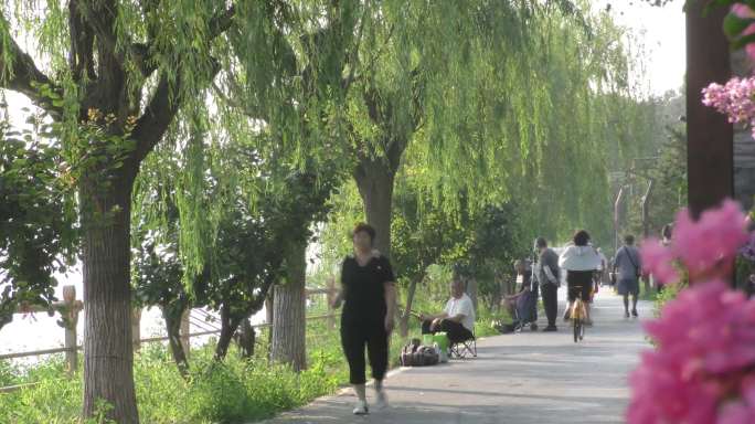 晨跑骑行锻炼遛弯公园东方红太阳升树林草地