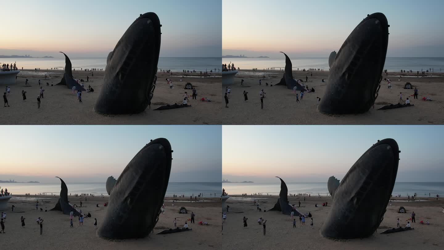 烟台金沙滩落鲸