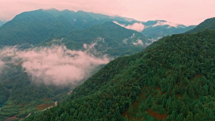 航拍安徽石台牯牛降山脉云雾