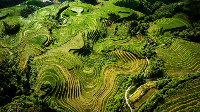 龙脊延时梯田乡村