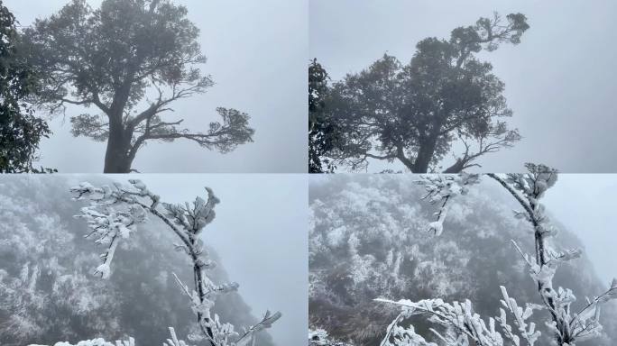 景区冰天雪地冬天冰雪雾凇