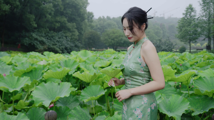 江南水乡的荷花美女在荷花池游玩