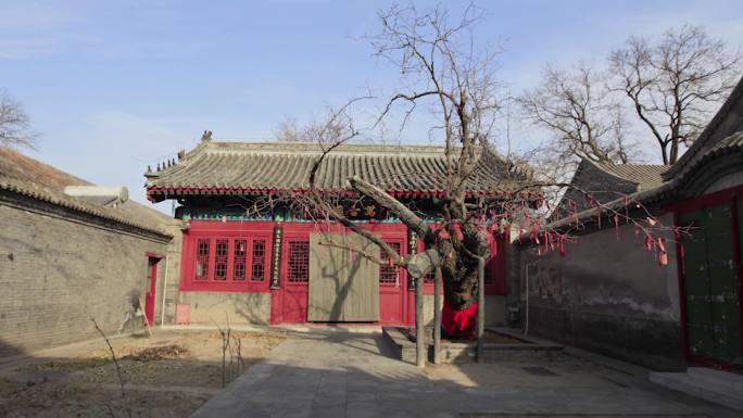 北京文臣相馆 --古枣树